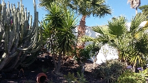 Photo #25
